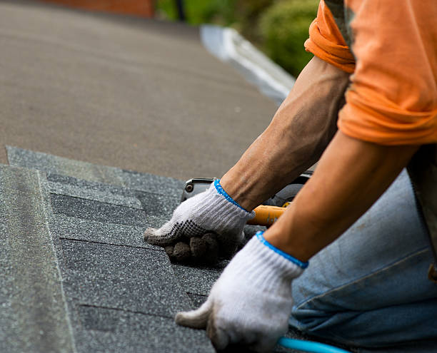 Best Slate Roofing Contractor  in Dixon, KY